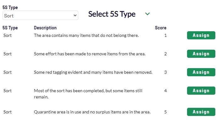 Lean 5S auditing software